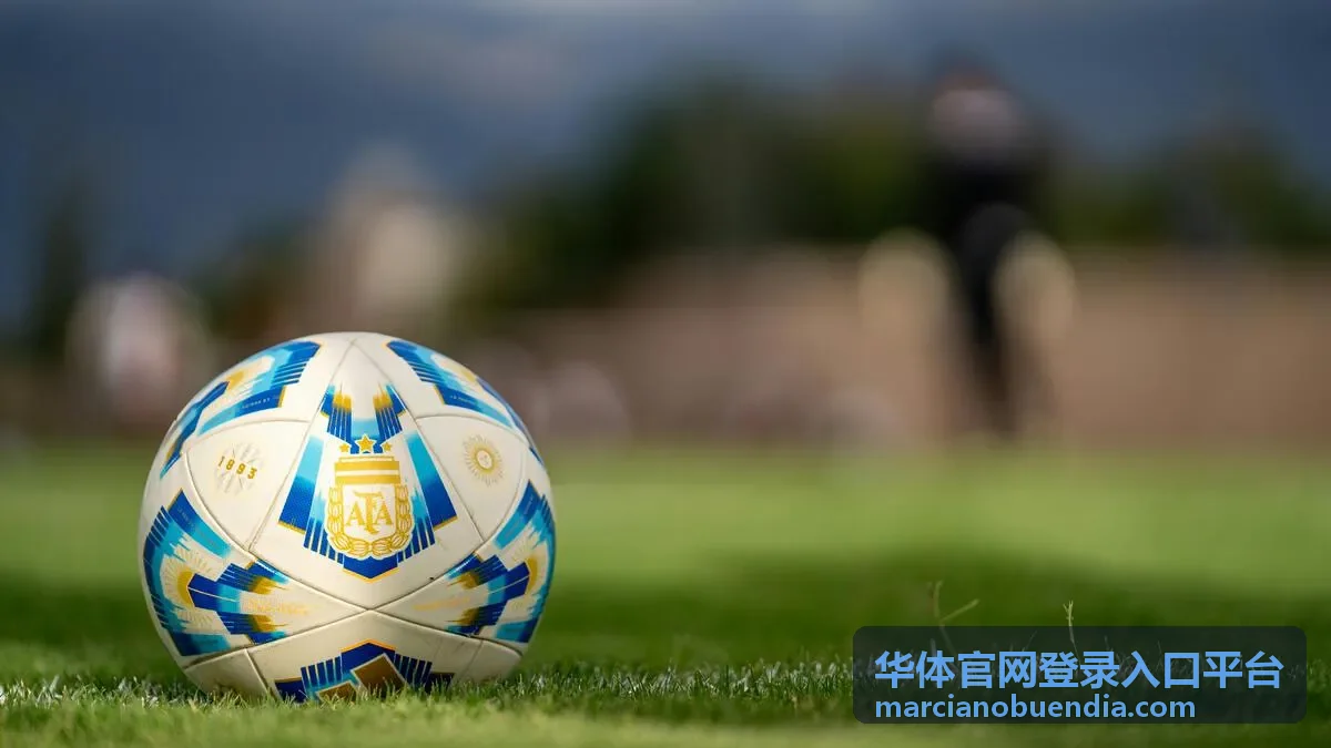 华体官网登录入口平台登录首页界面